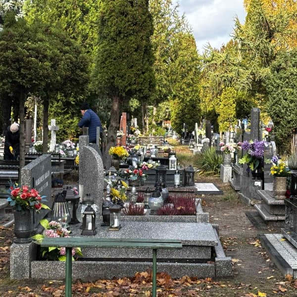 Fot: Weronika Polichnowska 