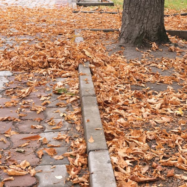 Zdjęcie ilustracyjne. Fot. Depositphotos.com