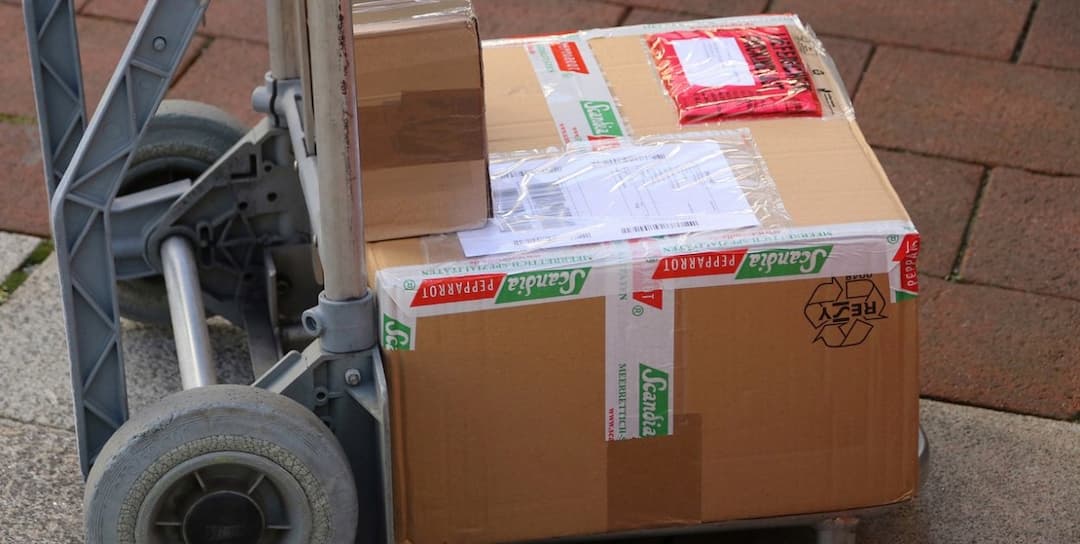 pixabay.com Licencja: https://pixabay.com/pl/service/license