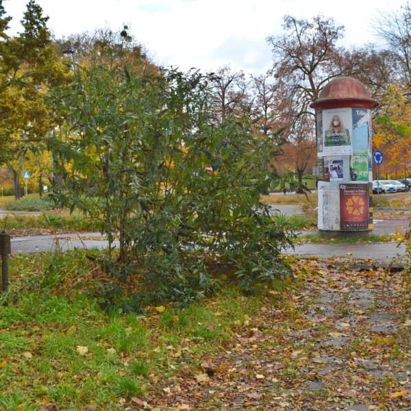 Fot. Daniel Wiśniewski