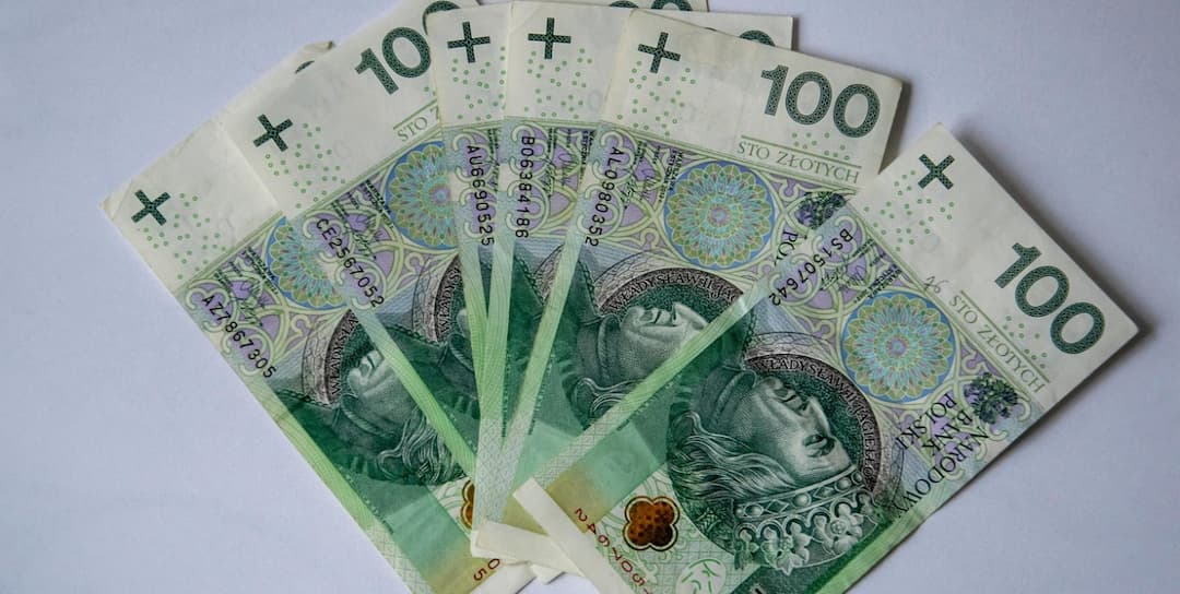 Obraz Królestwo_Nauki z Pixabay