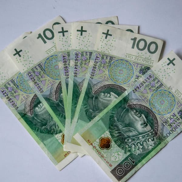 Obraz Królestwo_Nauki z Pixabay