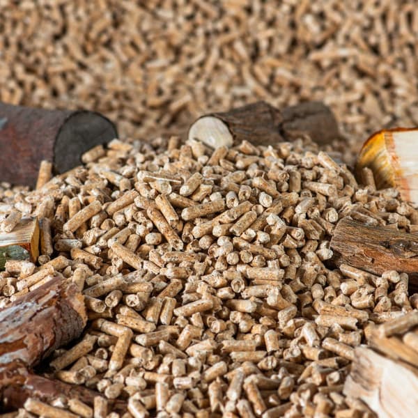 Obraz Willfried Wende z Pixabay