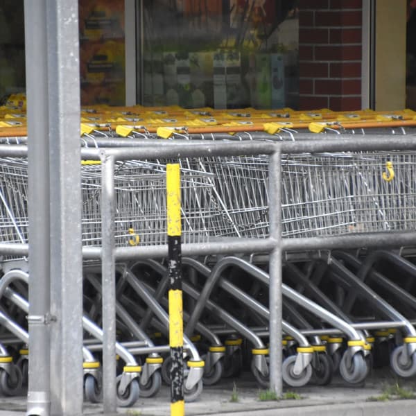 Fot. Michał Osiecki / siecportali.pl