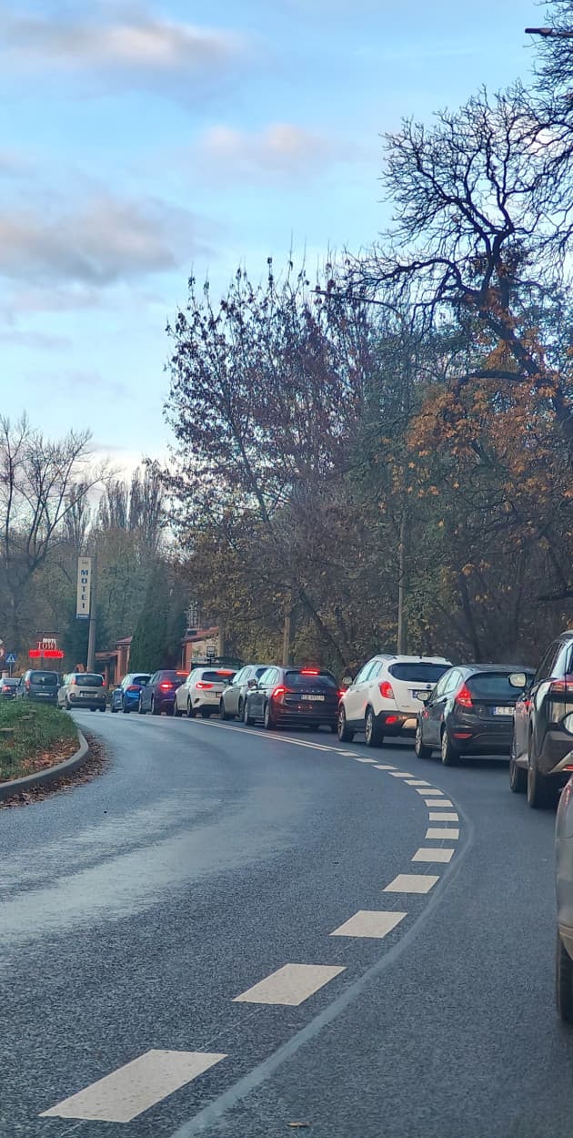 Fot. Daniel Wiśniewski