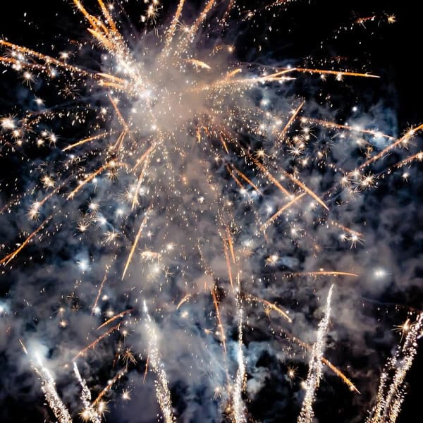 Obraz Carl z Pixabay