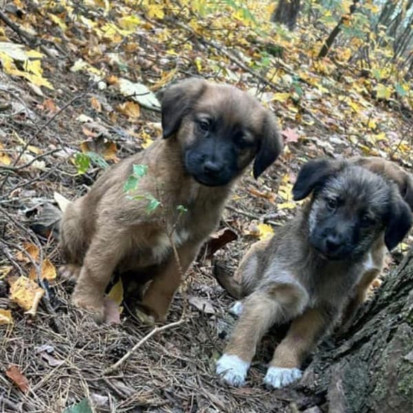 Fot: KPP w Inowrocławiu 