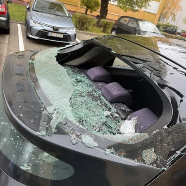 Fot: z grupy Toruń Ogłoszenia