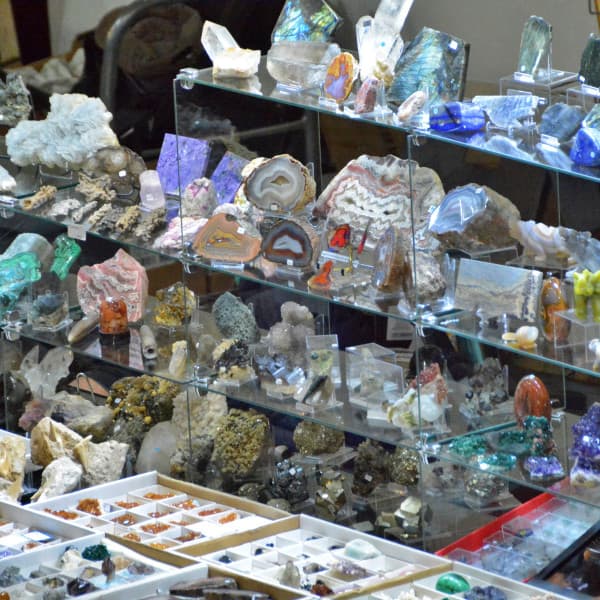 Fot: Weronika Polichnowska 