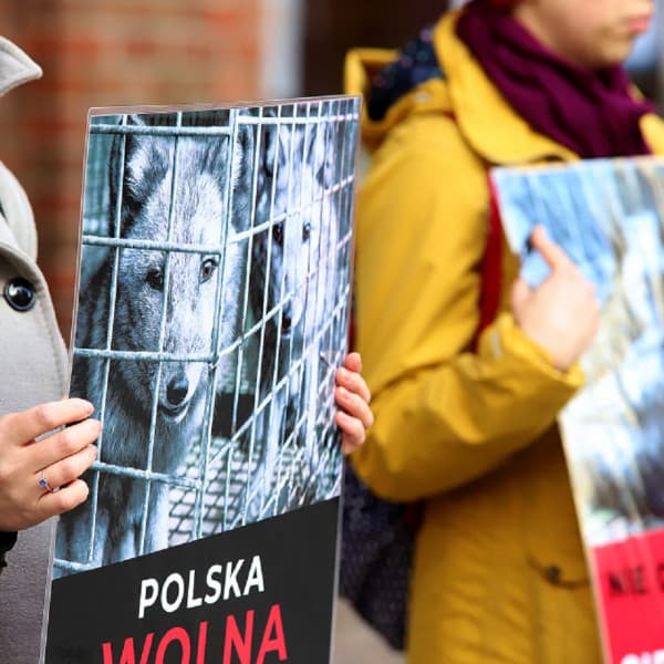 Archiwum DDToruń. Fot. Agnieszka Bielecka