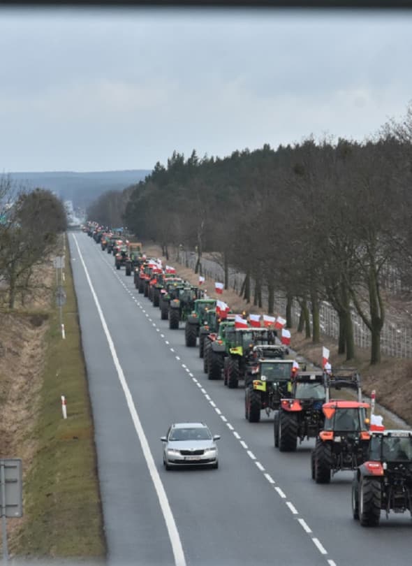 Archiwum DDToruń Fot. Daniel Wiśniewski