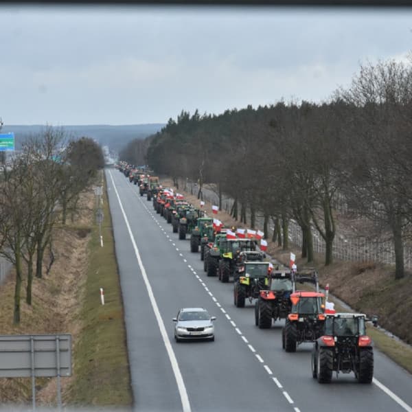 Archiwum DDToruń Fot. Daniel Wiśniewski