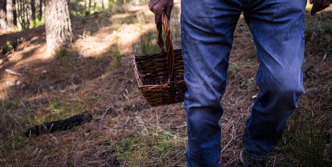 Zdjęcie ilustracyjne. Fot. Depositphotos.com