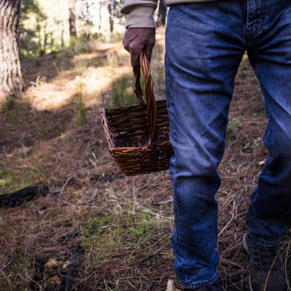 Zdjęcie ilustracyjne. Fot. Depositphotos.com