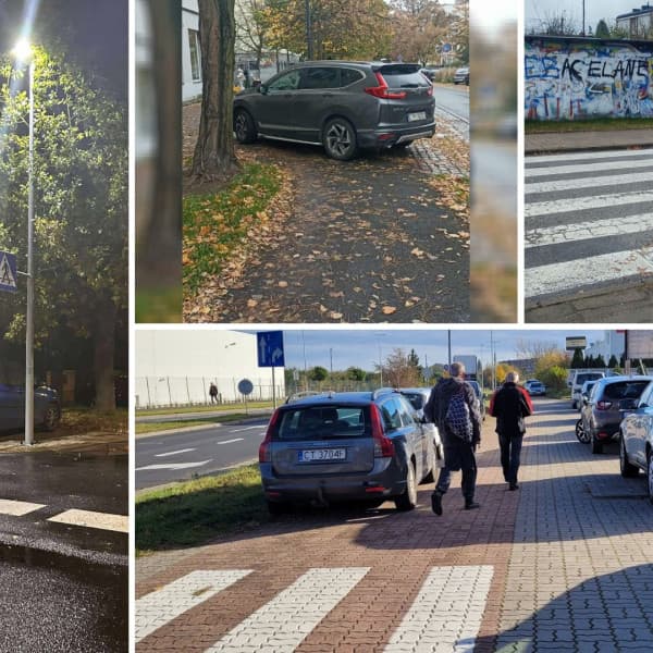 Fot. Toruńskie Święte Krowy