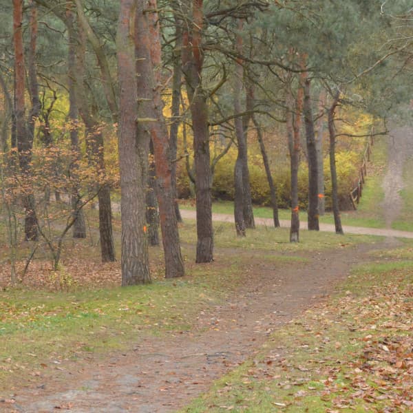 Fot. Daniel Wiśniewski