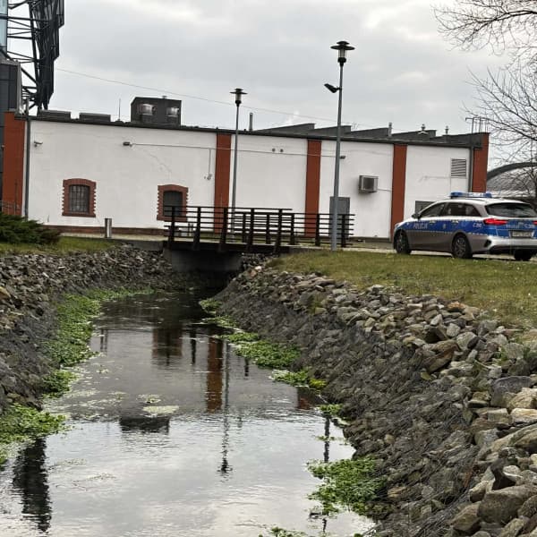 Fot: Weronika Polichnowska