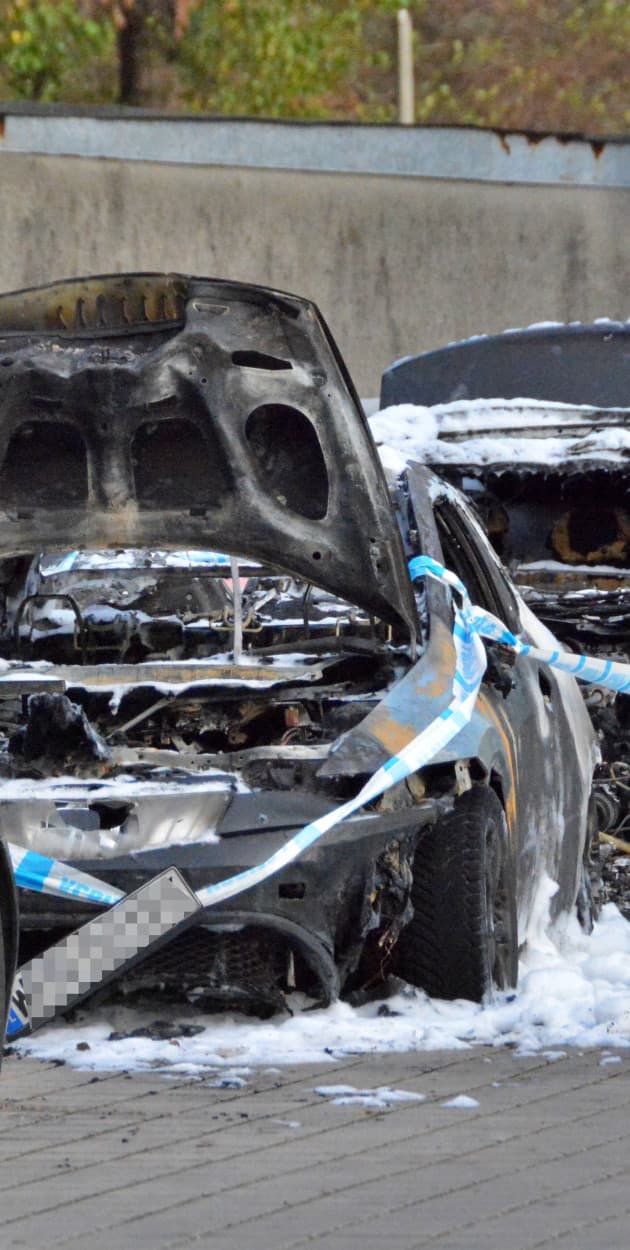 Fot. Daniel Wiśniewski