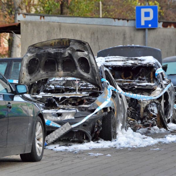 Fot. Daniel Wiśniewski