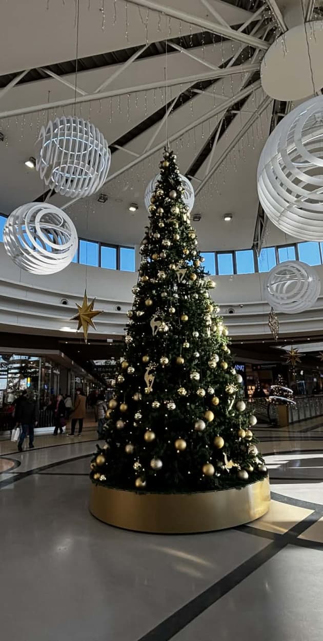 Fot: Weronika Polichnowska 