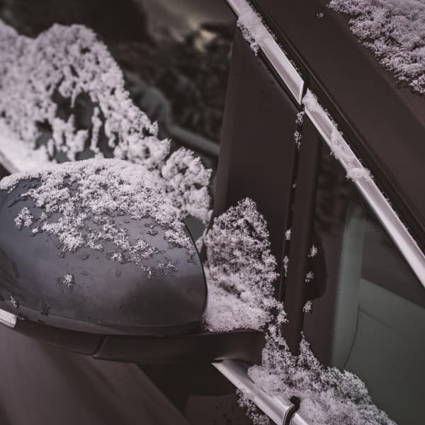 Obraz Petra z Pixabay