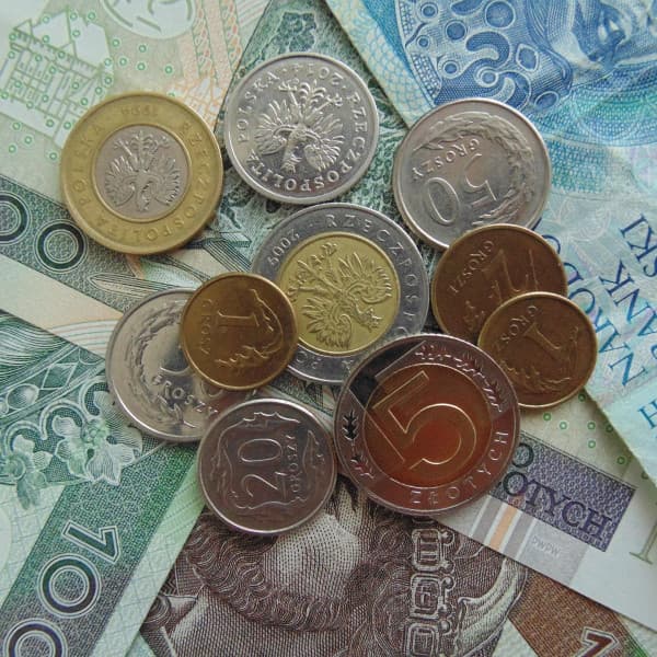 Obraz Adam Górka z Pixabay