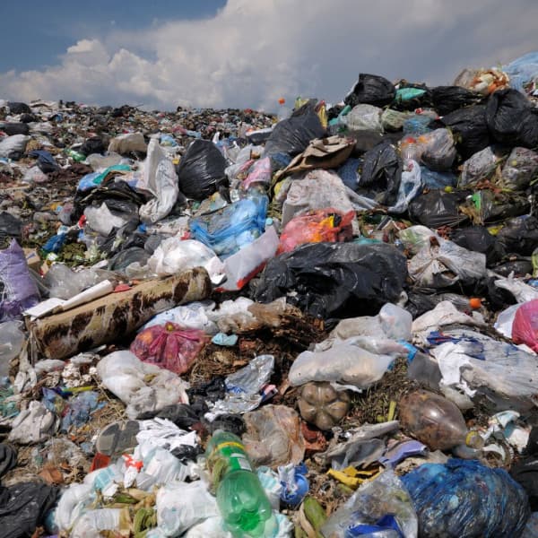 Zdjęcie ilustracyjne. Canva