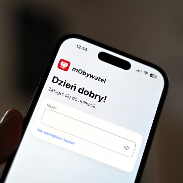 Fot. ddwloclawek.pl / siecportali.pl