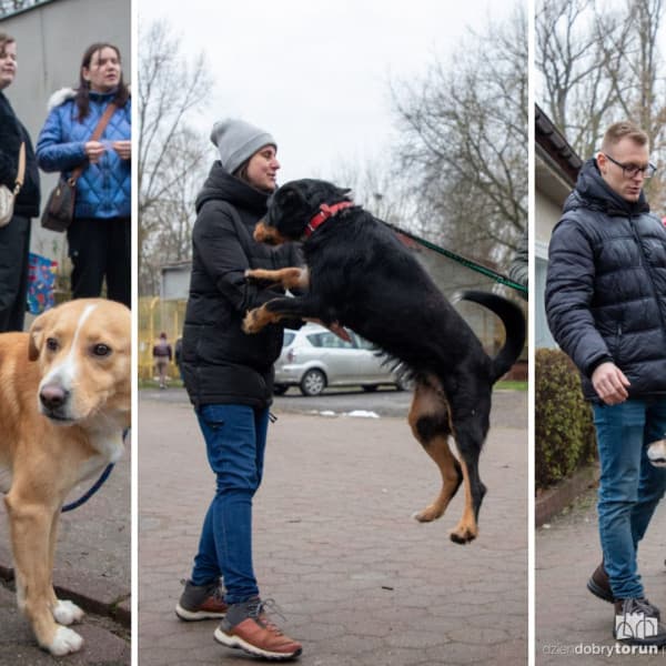 Fot. Agnieszka Bielecka