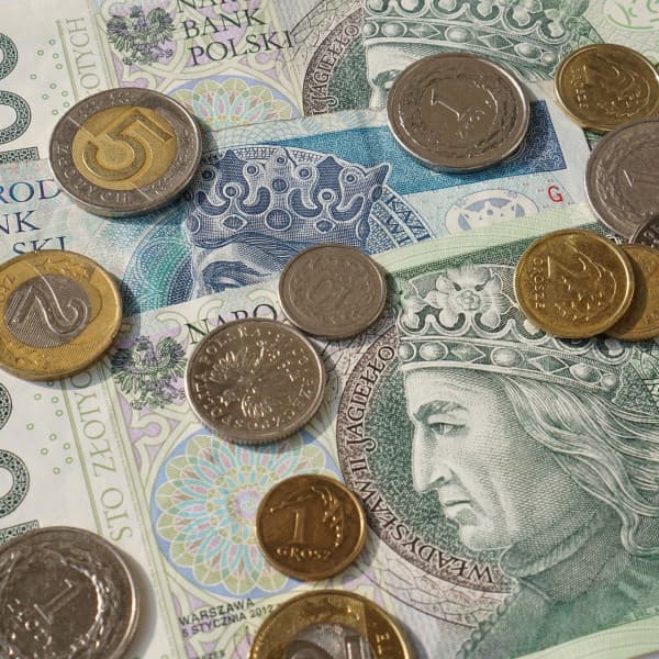 Obraz SKYRADAR z Pixabay