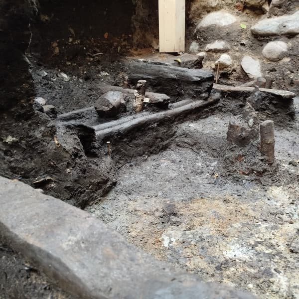 Fot. Facebook Dom Mikołaja Kopernika