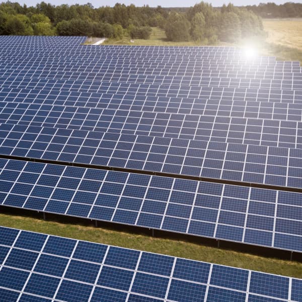 Zdjęcie ilustracyjne. Fot. Depositphotos.com