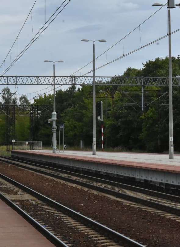 Zdjęcie ilustracyjne. Archiwum DDToruń Fot. Daniel Wiśniewski