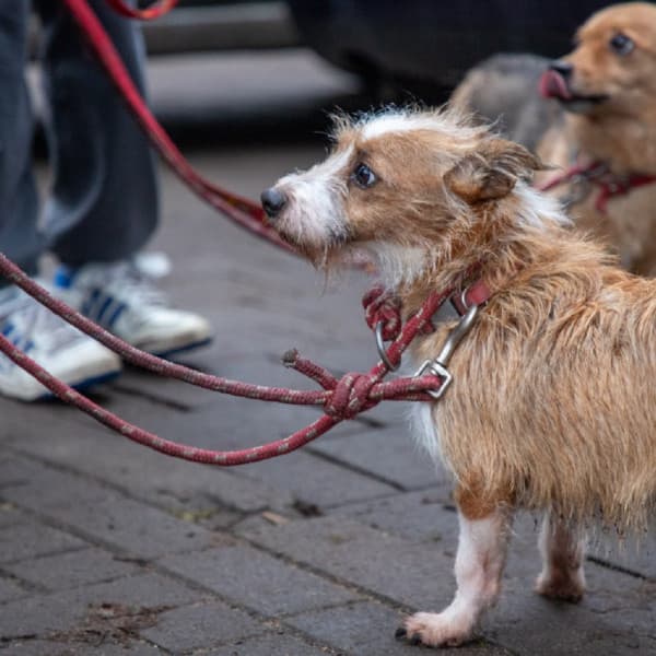 Archiwum DDToruń. Fot. Agnieszka Bielecka