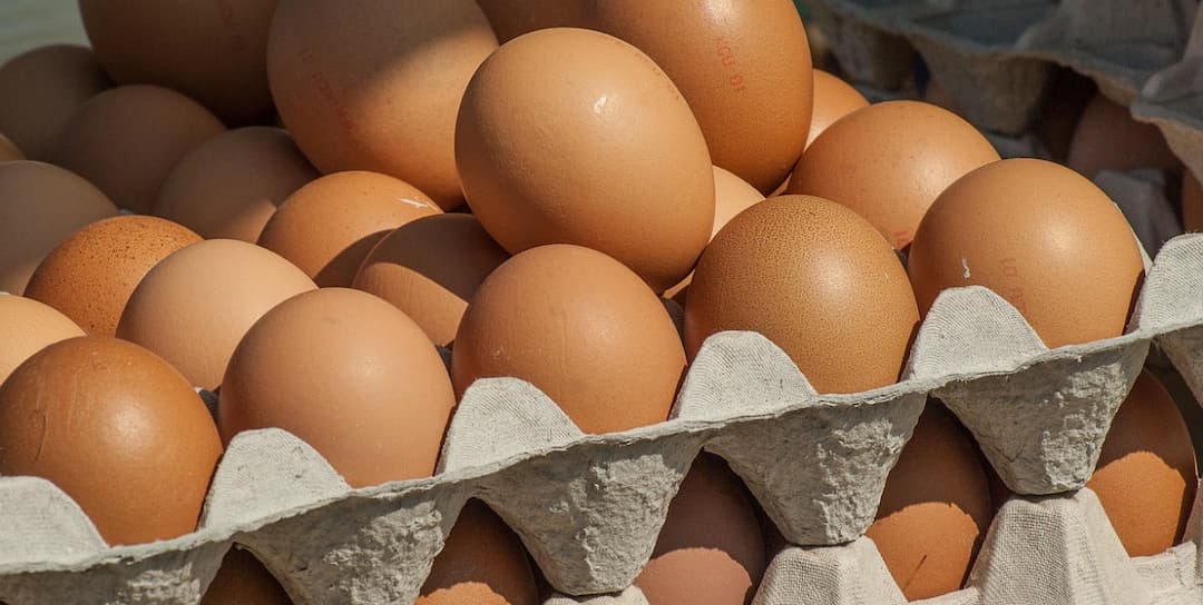 Obraz jacqueline macou z Pixabay