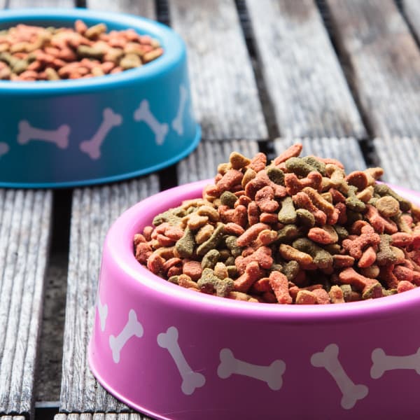 Zdjęcie ilustracyjne. Depositphotos