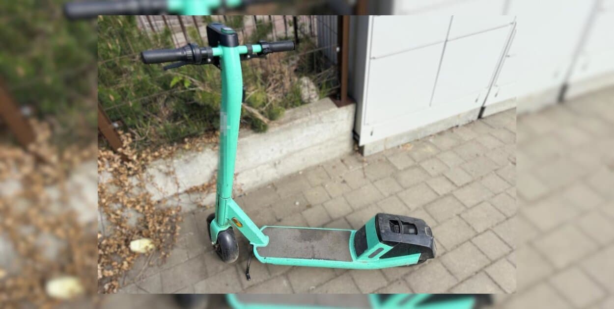 Zdjęcie
