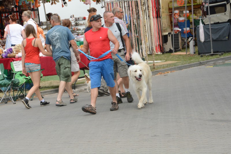 Toruńska Wystawa Psów Rasowych