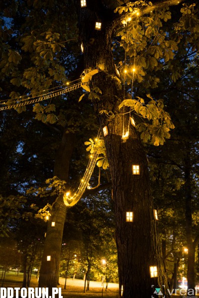 Bella Skyway Festival - Festiwal Światła