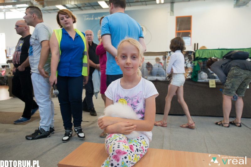 Międzynarodowa Wystawa Kotów Rasowych