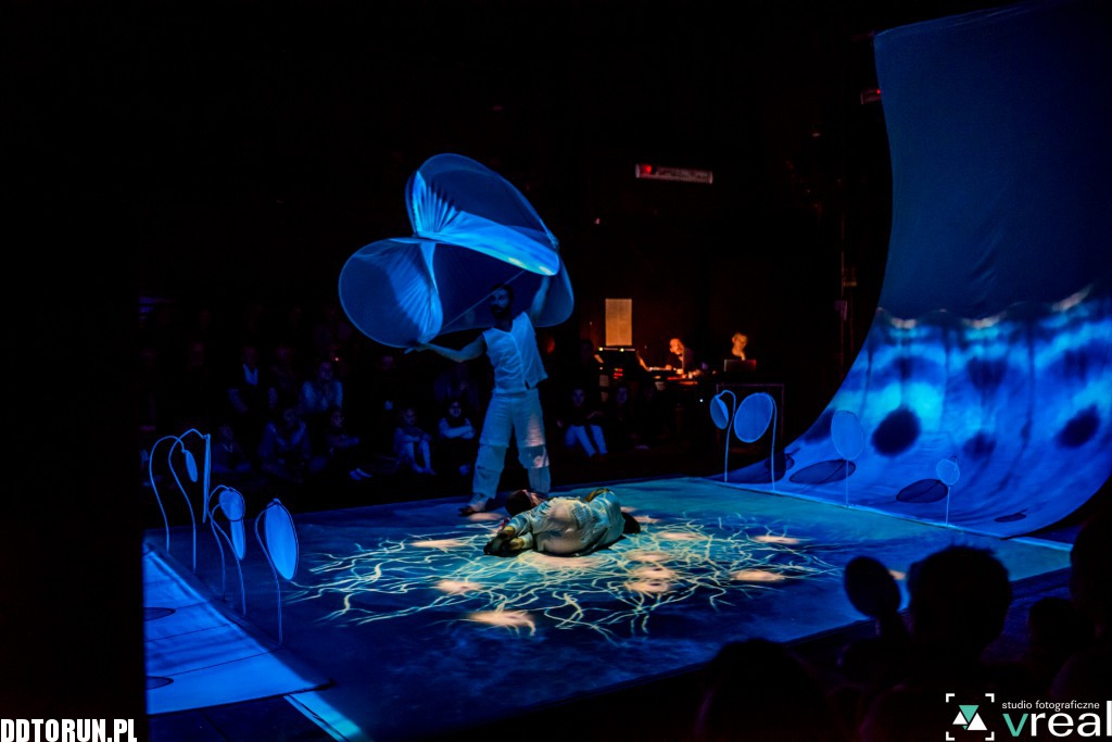 Motyle Compagnia TPO na Spotkaniach