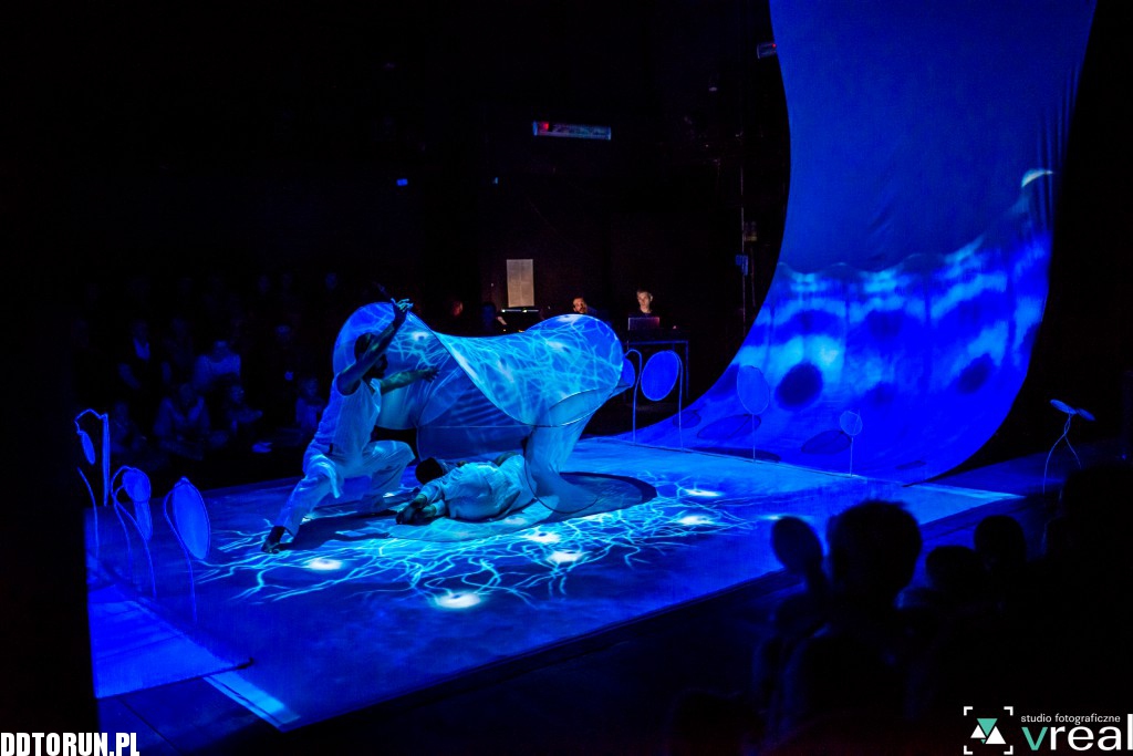 Motyle Compagnia TPO na Spotkaniach