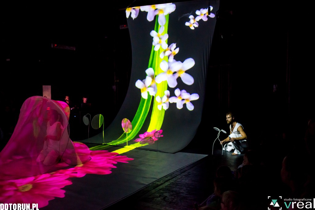 Motyle Compagnia TPO na Spotkaniach