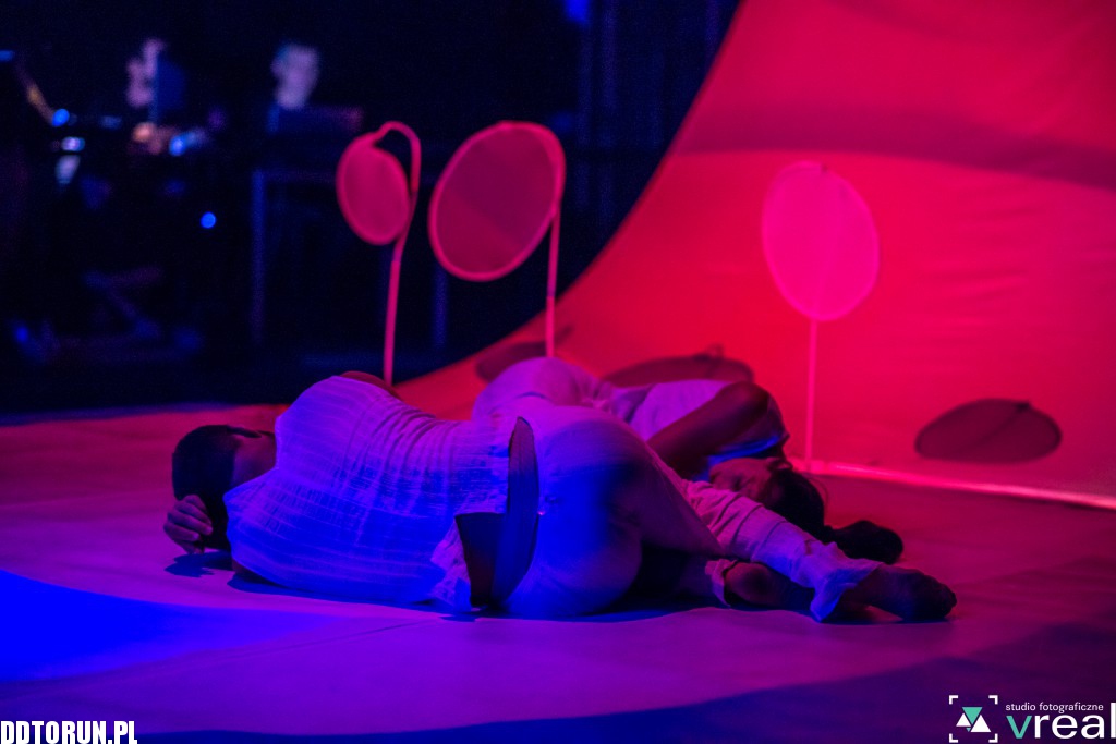 Motyle Compagnia TPO na Spotkaniach