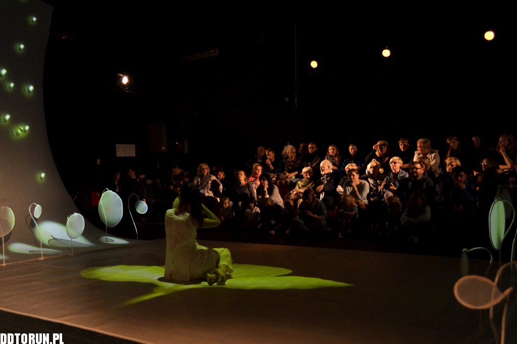 Motyle Compagnia TPO na Spotkaniach