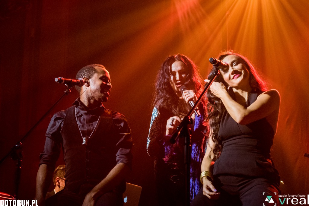 Koncert Kayah na Forte Artus Festival