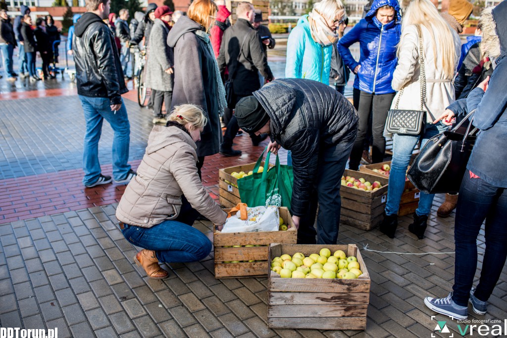 Rozdawanie jabłek przed aulą UMK