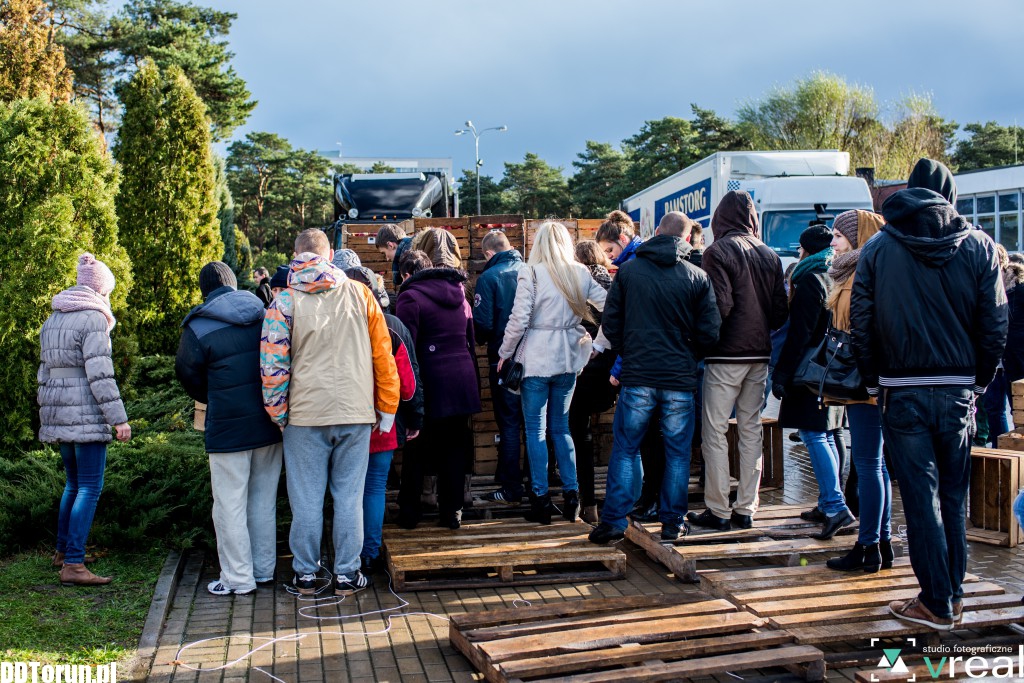 Rozdawanie jabłek przed aulą UMK