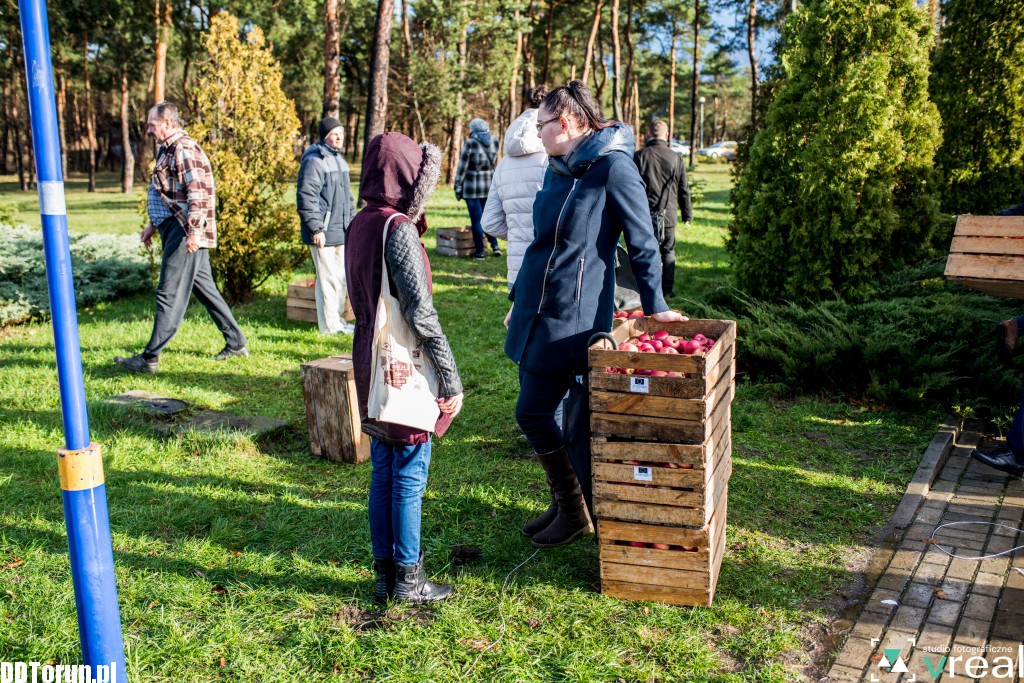 Rozdawanie jabłek przed aulą UMK