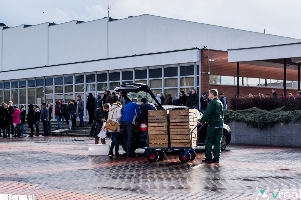 Rozdawanie jabłek przed aulą UMK
